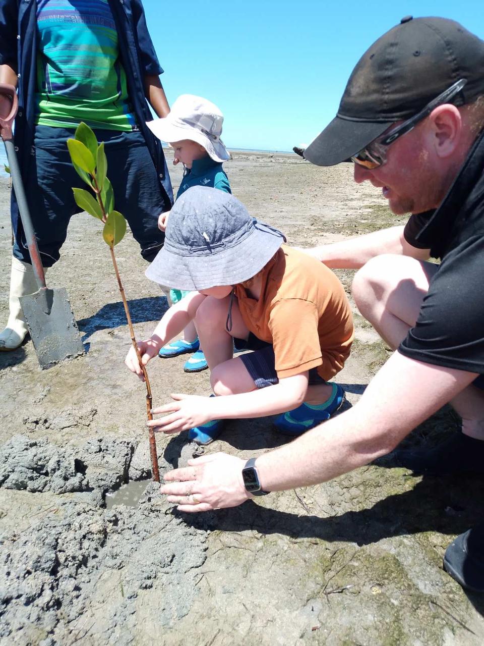 Mangrove and Turtle Tour