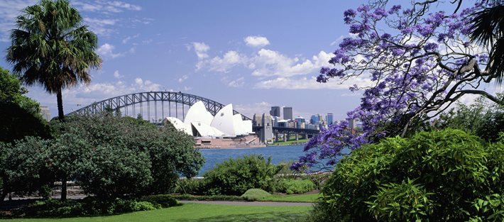 Sydney Garden & Art Tour-wheelchair accessible