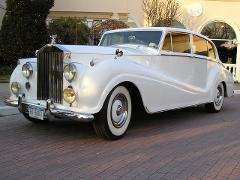 Rolls-Royce Vintage car hire Sydney - ivory