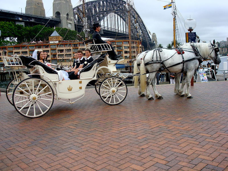 Horse and carriage