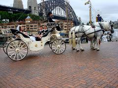 Horse and carriage