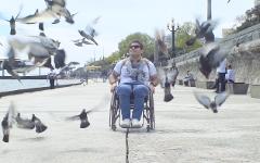 Best Sydney Wheelchair Day Tour