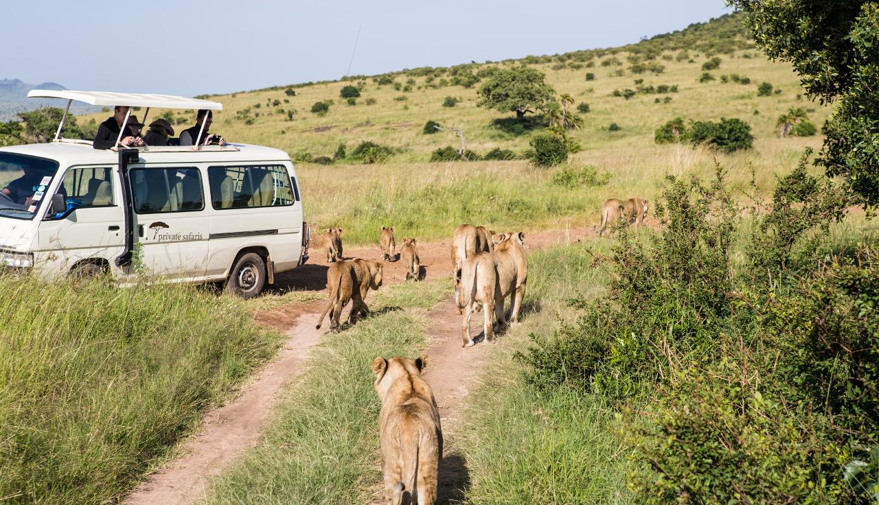 7 Days Masai Mara – Lake Nakuru – Lake Naivasha – Amboseli