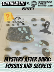 Mystery After Dark: Fossils & Secrets