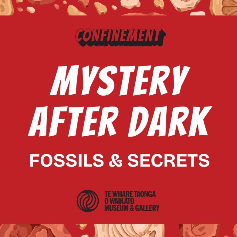 Mystery After Dark: Fossils & Secrets