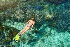 TORTUGA ISLAND + SNORKELING TOUR 