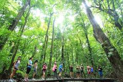 CABO BLANCO MORNING HIKE