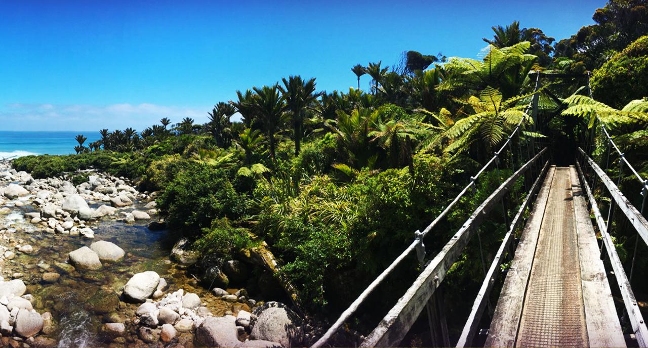 Heaphy Track // Great Walk