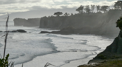 Cape Foulwind // West Coast