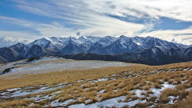  A Day at Woolshed Creek with Bushman Tours