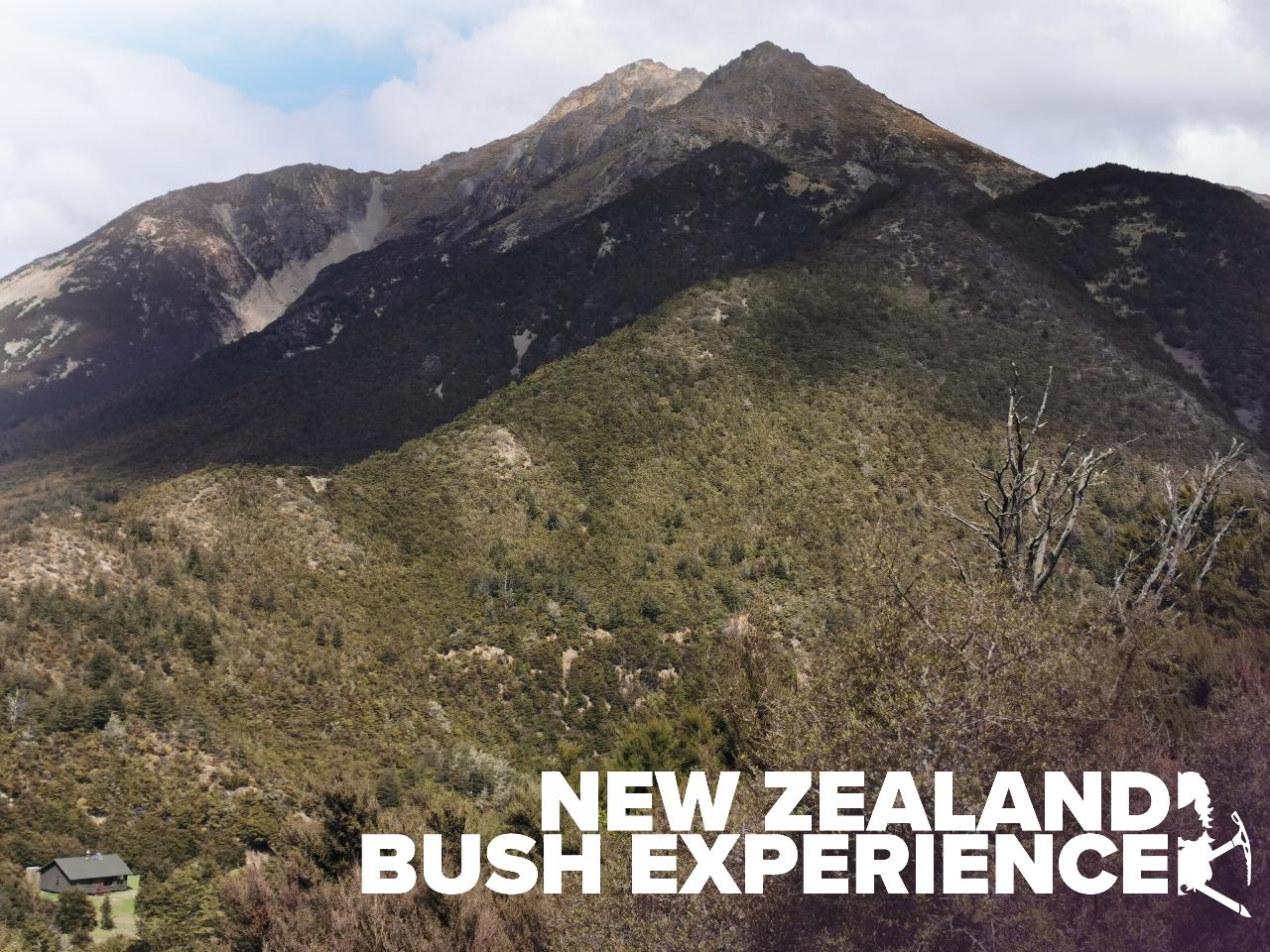 New Zealand Bush Experience // Island Hills Station