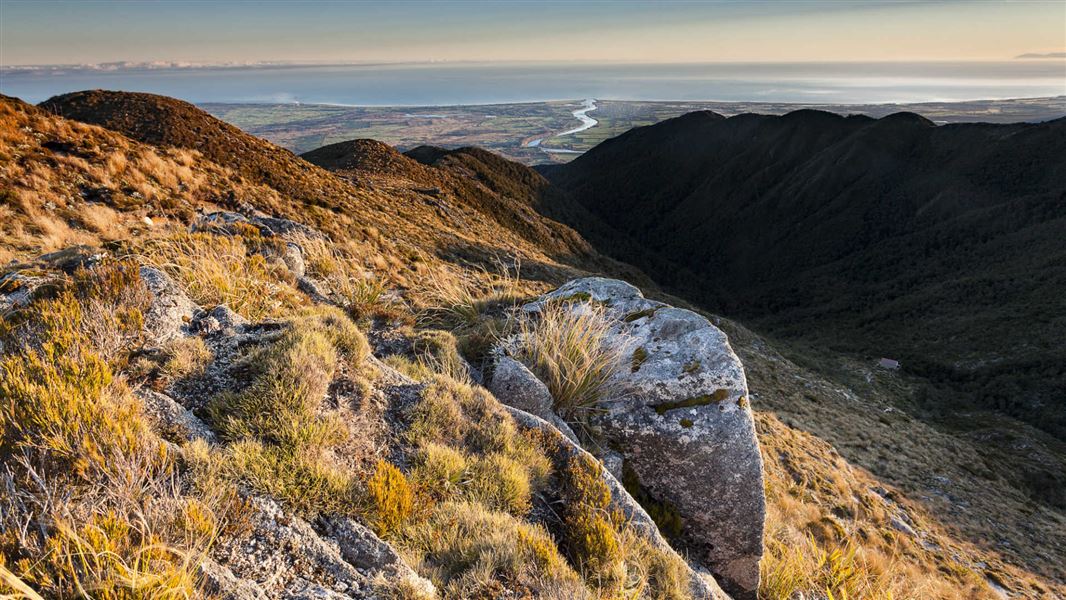 Bucklands Hut // West Coast
