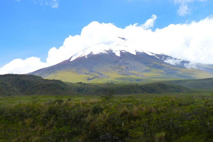 Cotopaxi National Park & Quilotoa Day Trip From Quito with Pickup