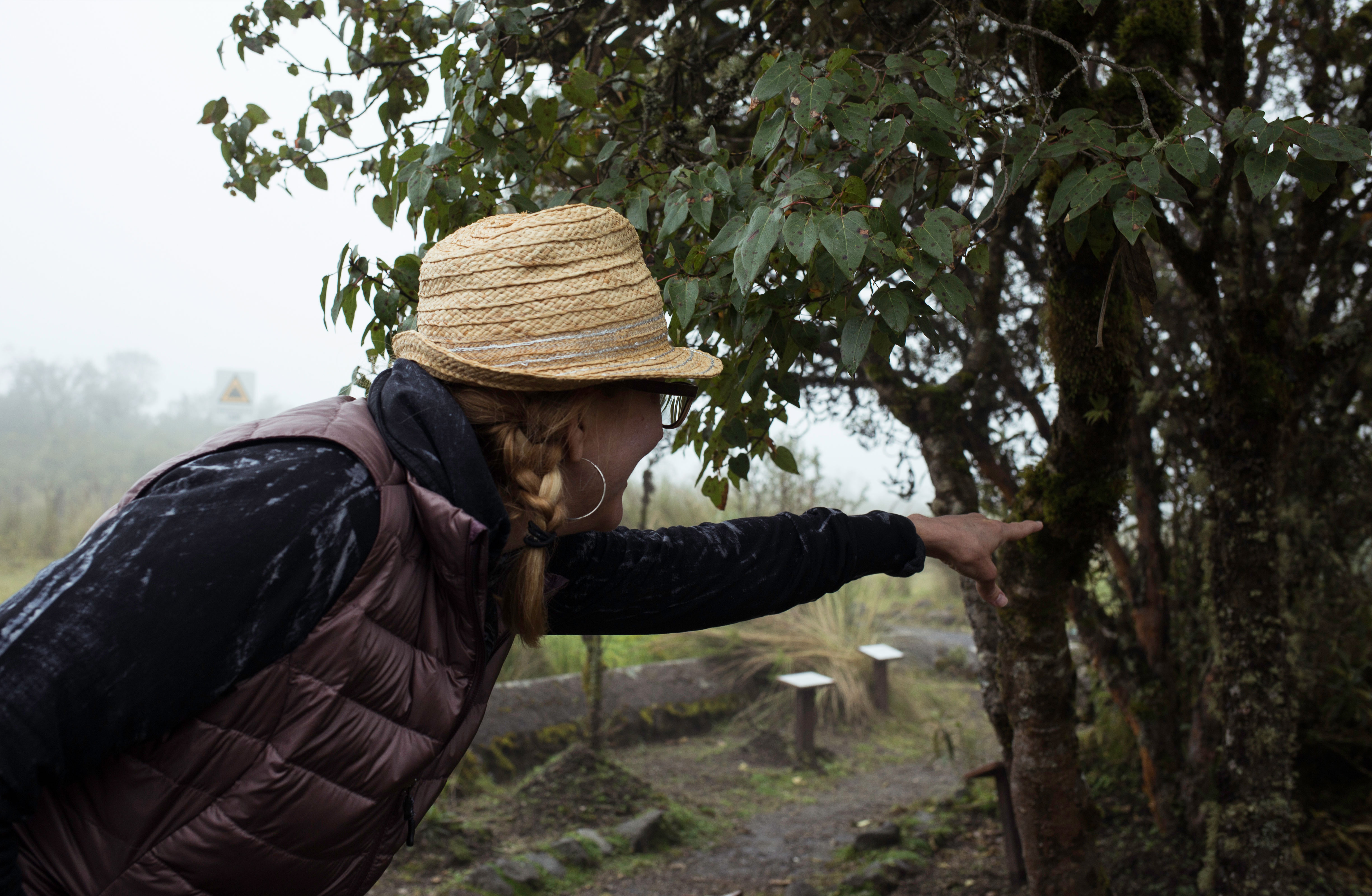 Cotopaxi National Park & Quilotoa Day Trip From Quito with Pickup