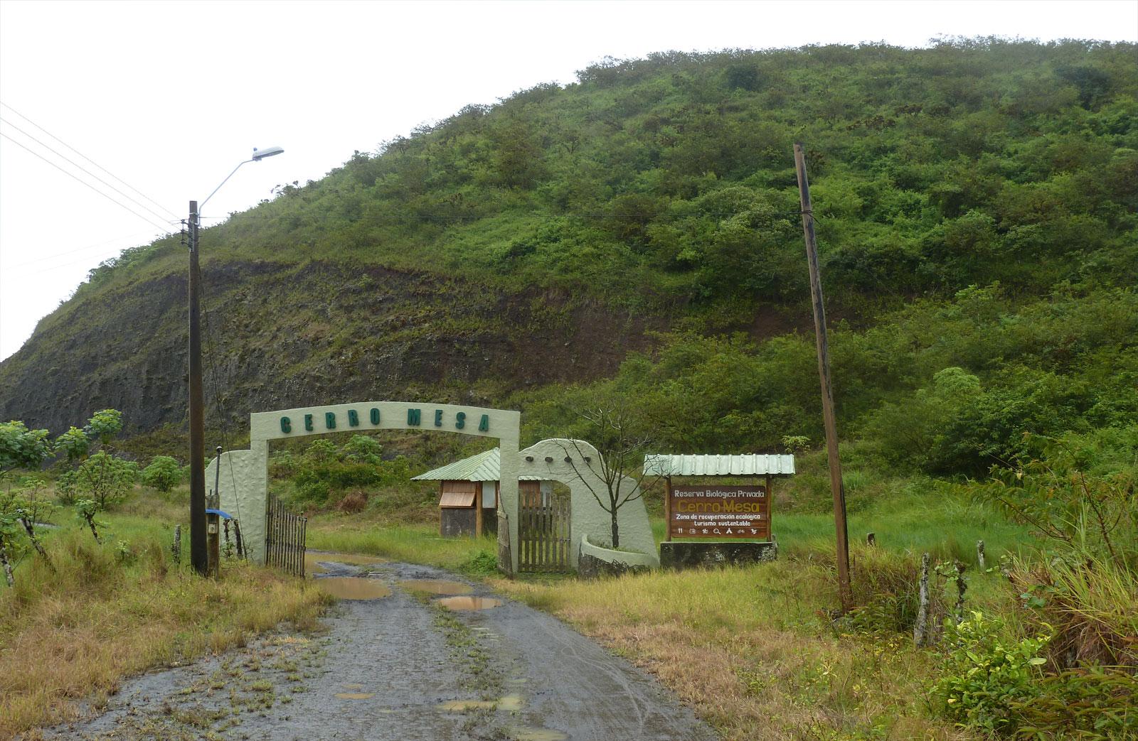 Cerro Mesa & Garrapatero Day Trip From Puerto Ayora