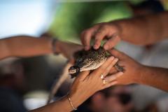 Jaws & Claws Adventure |  Malcolm Douglas Crocodile Park