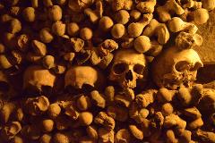 Priority Access Guided Tour of the Paris Catacombs