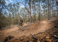 Custom_Guided MTB Tours