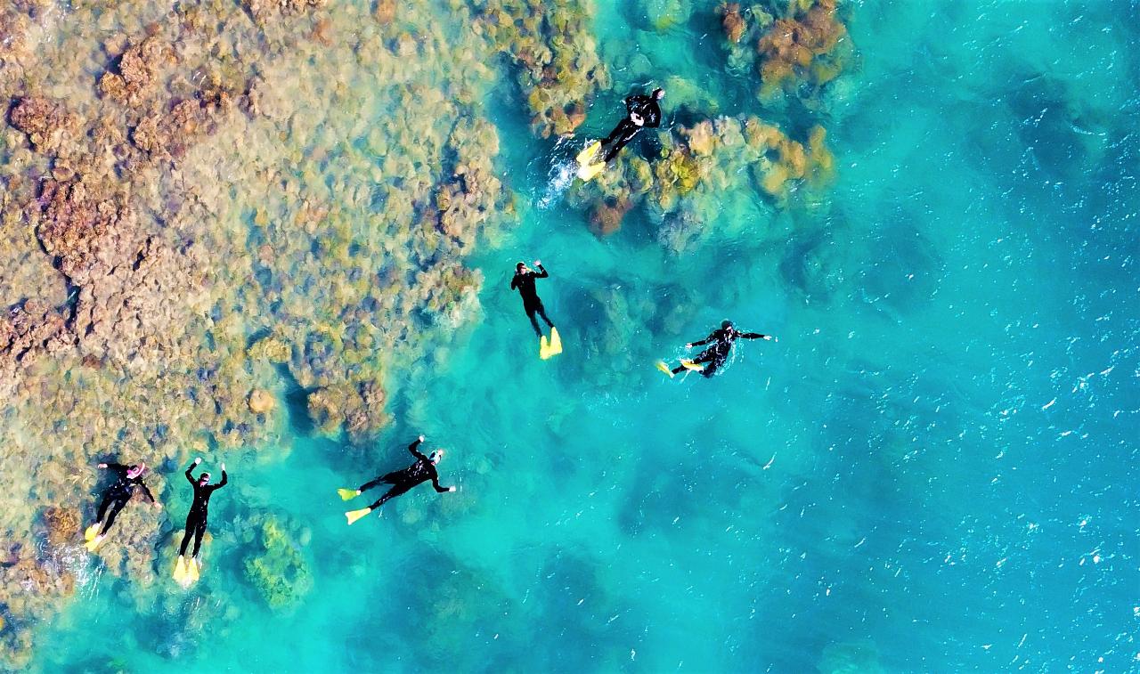 Whitehaven + Snorkeling
