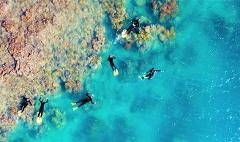 Whitehaven + Snorkeling