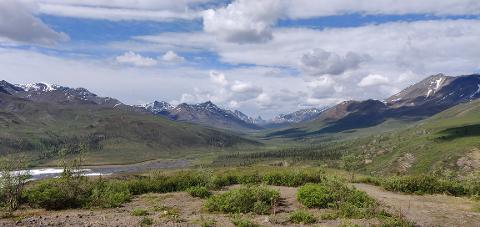 Tombstone_Miountains