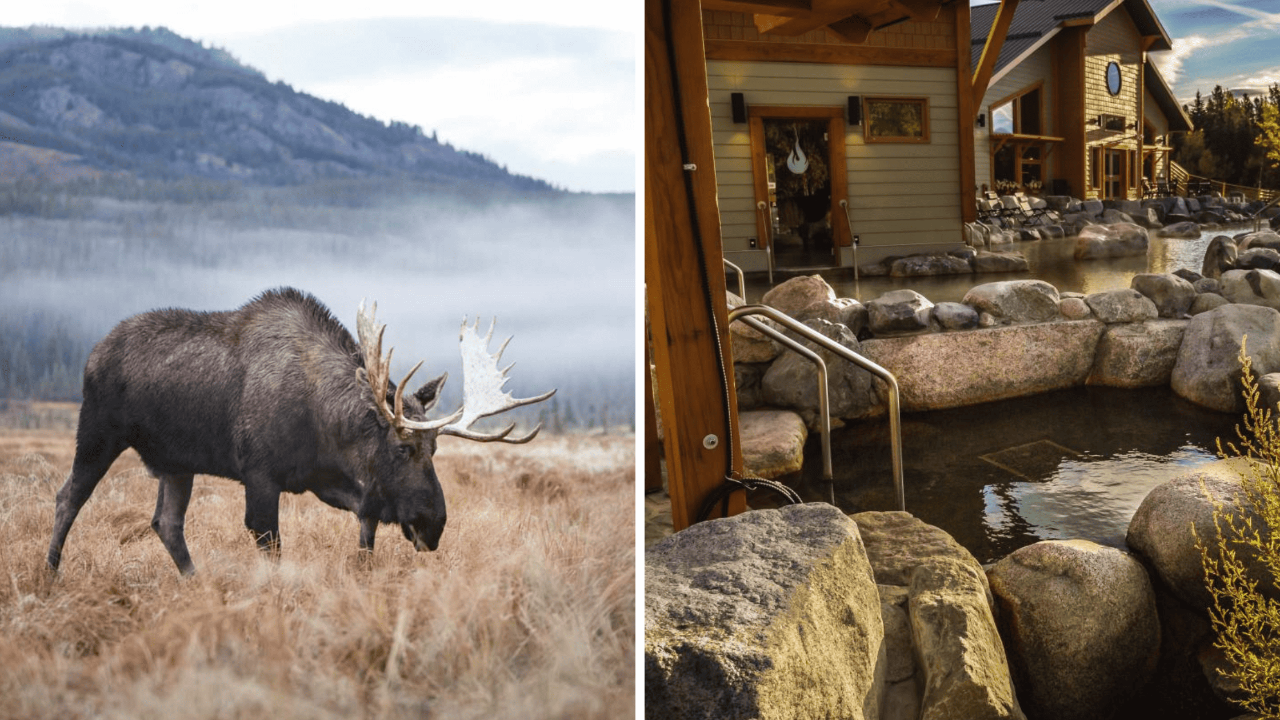 Wildlife Preserve & Hot Springs Shuttle