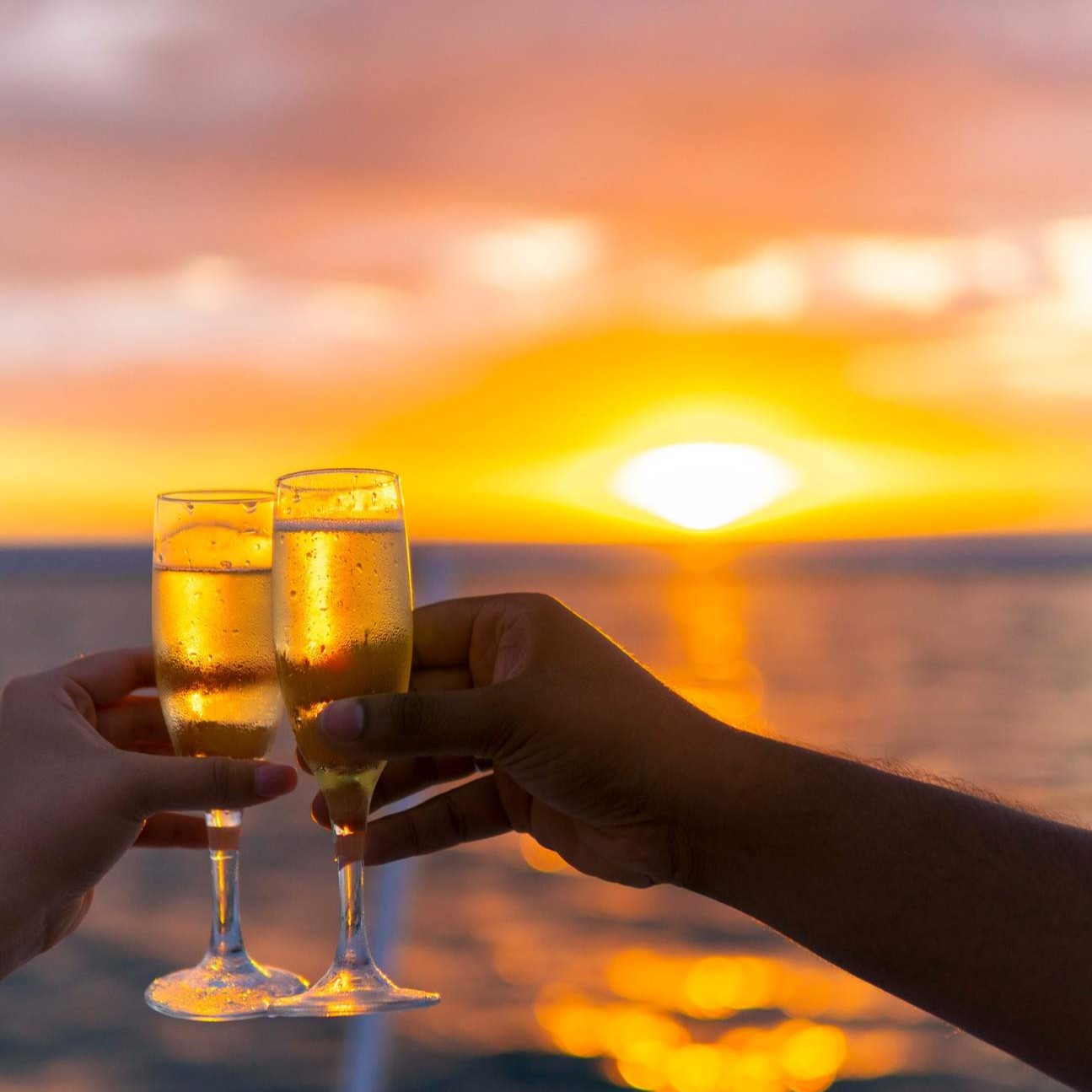 'Knotorious' Sunset Cruise - Darwin