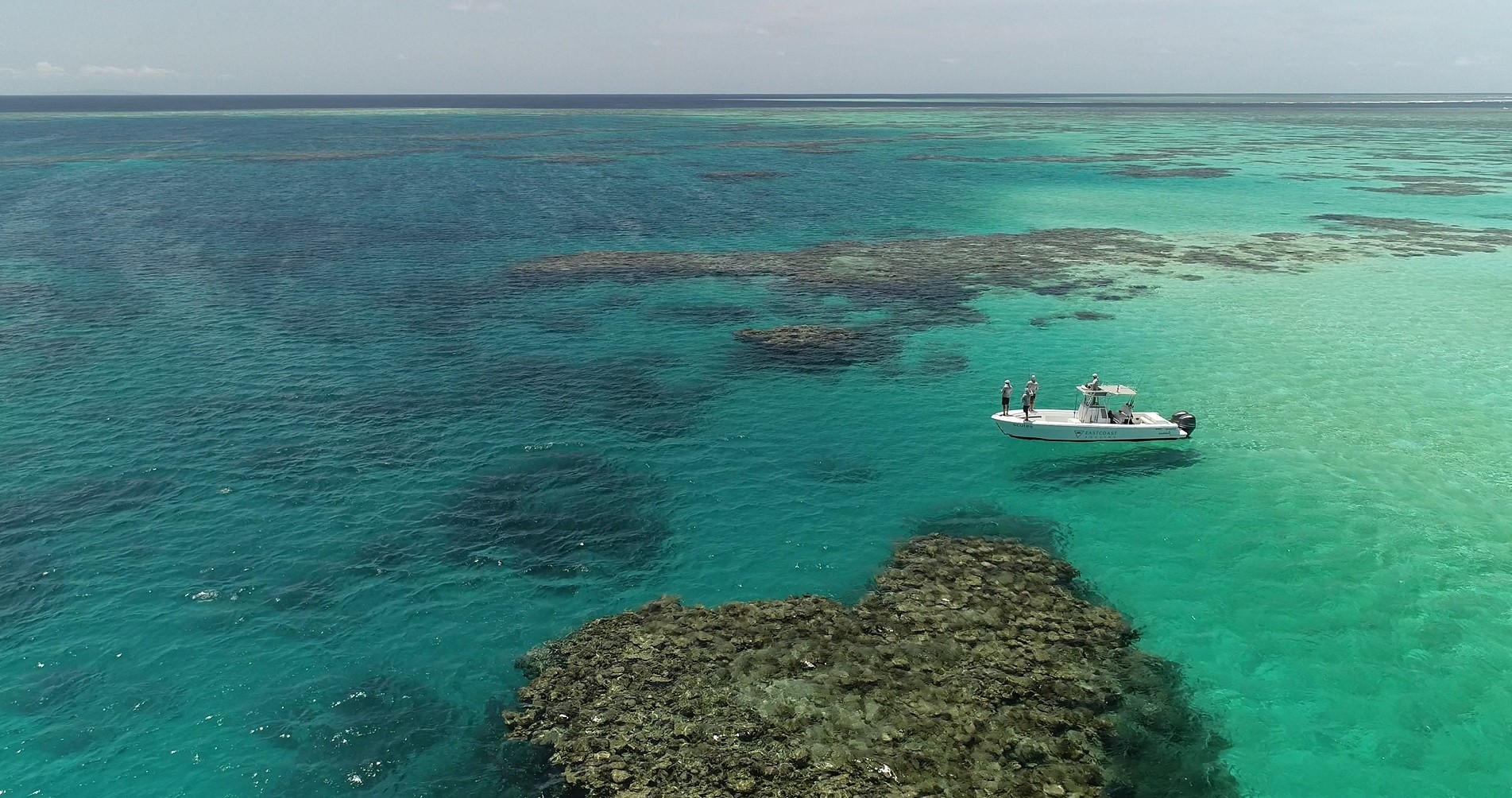 Port Douglas Offshore - Half Day