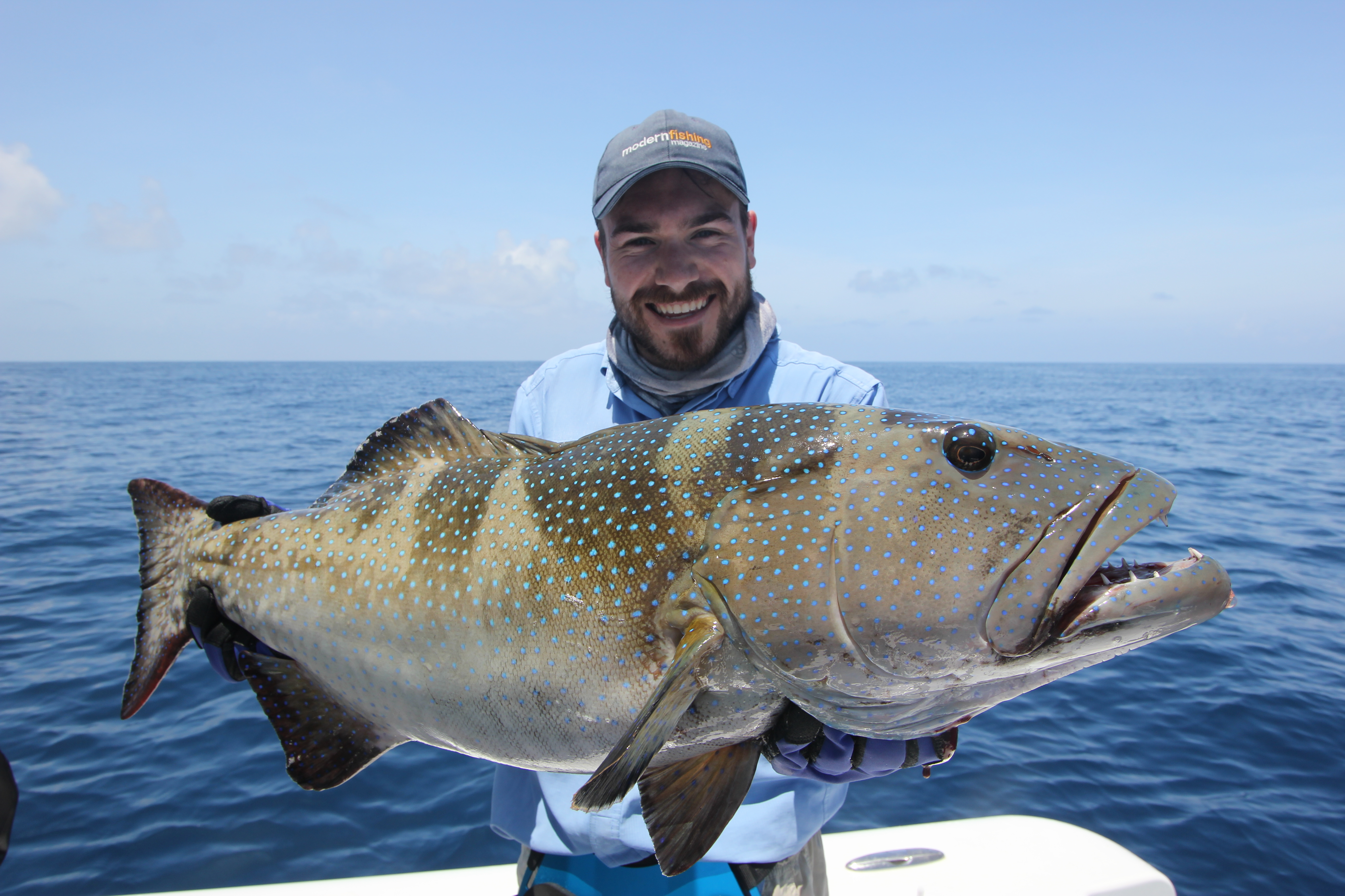 Port Douglas Offshore - Half Day