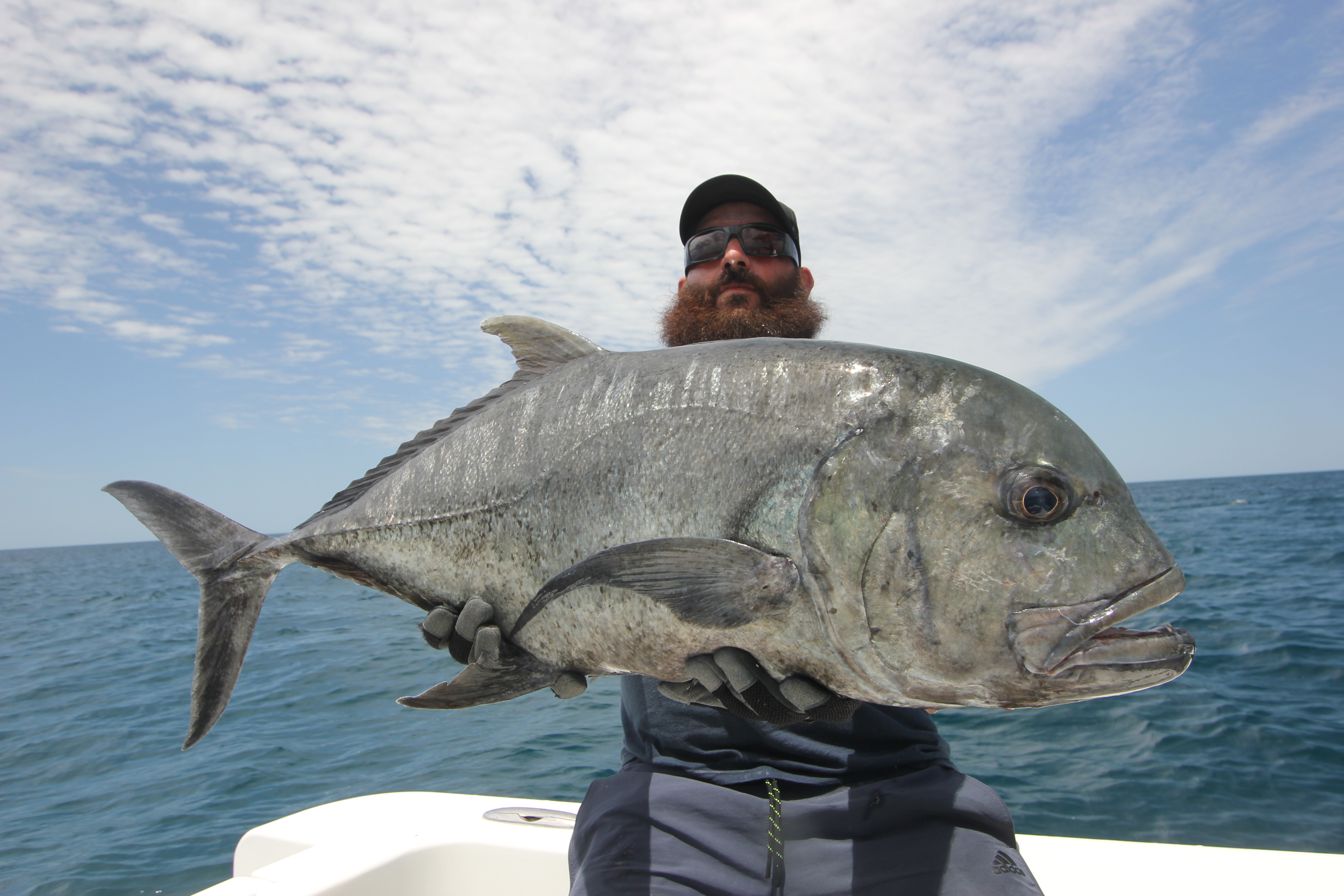 Port Douglas Offshore - Half Day