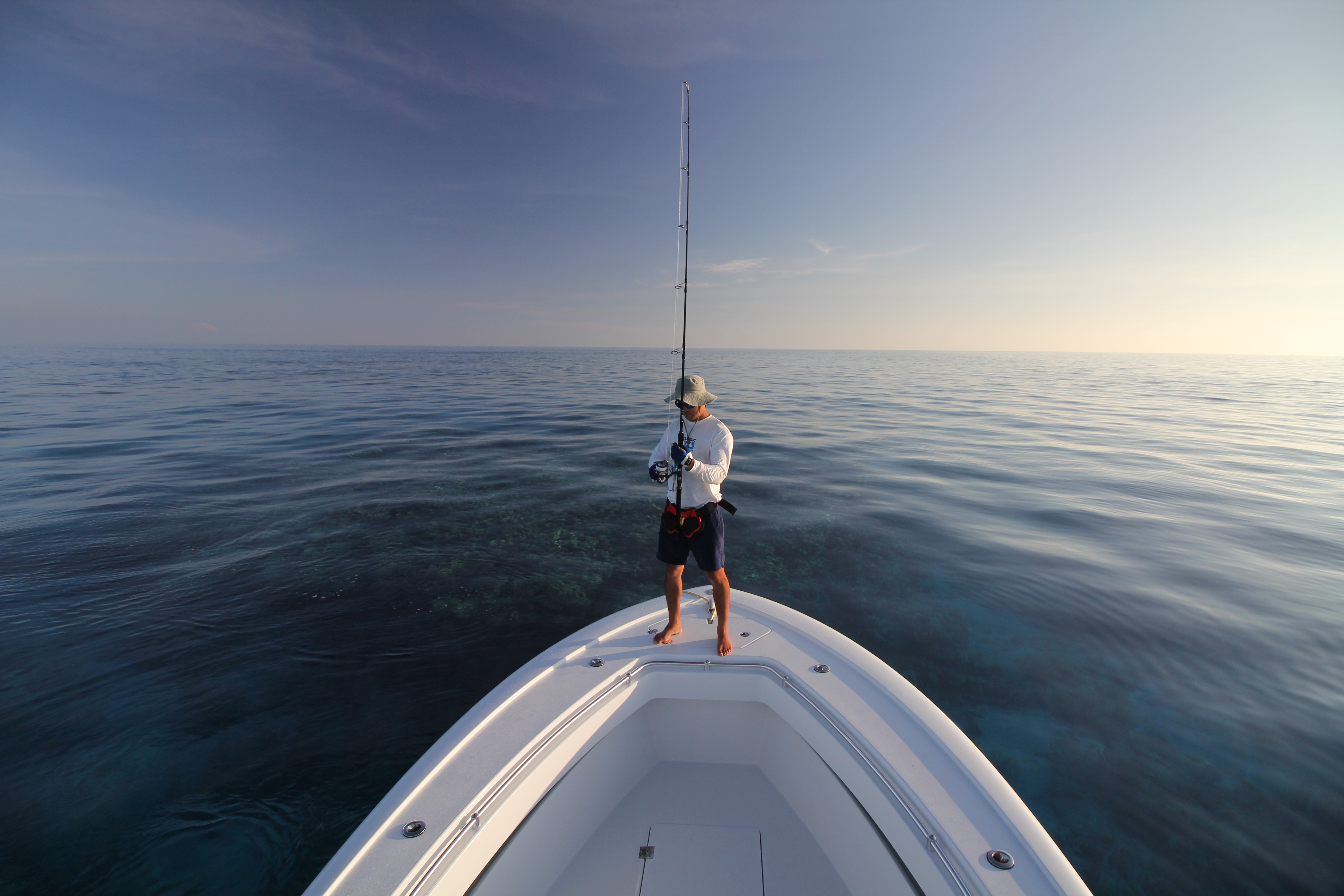 Port Douglas Offshore - Half Day