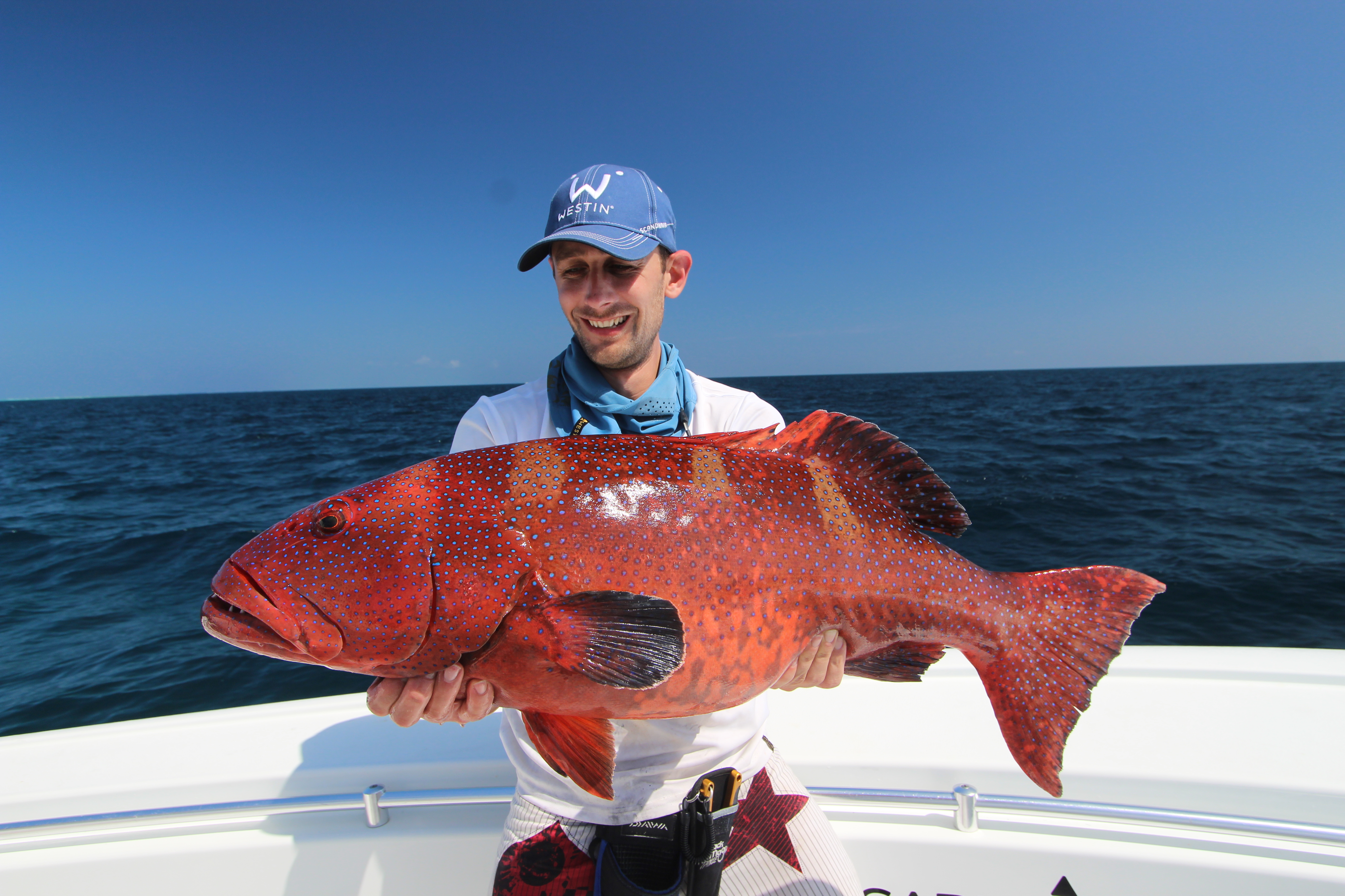 Port Douglas Offshore - Half Day
