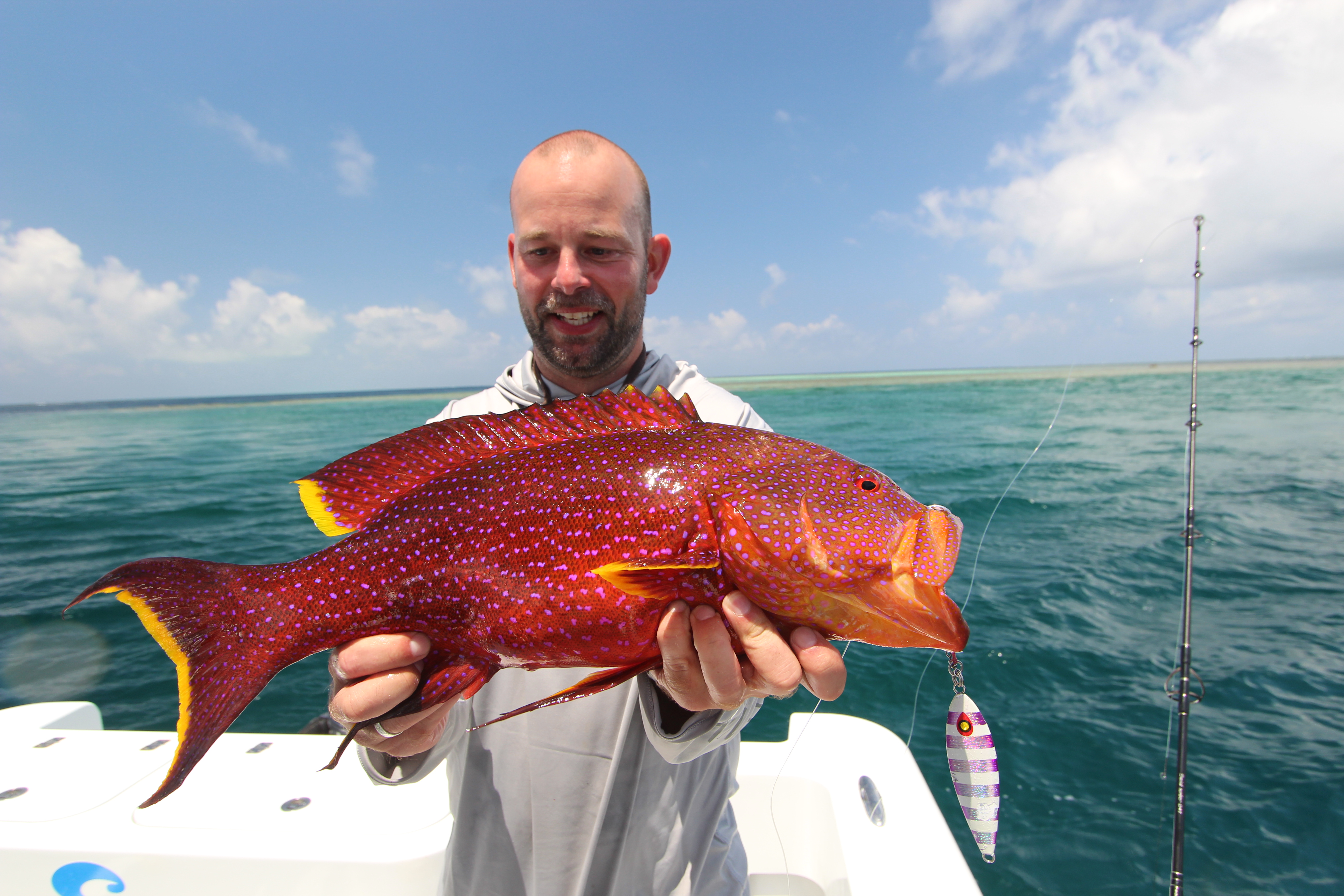 Port Douglas Offshore - Half Day