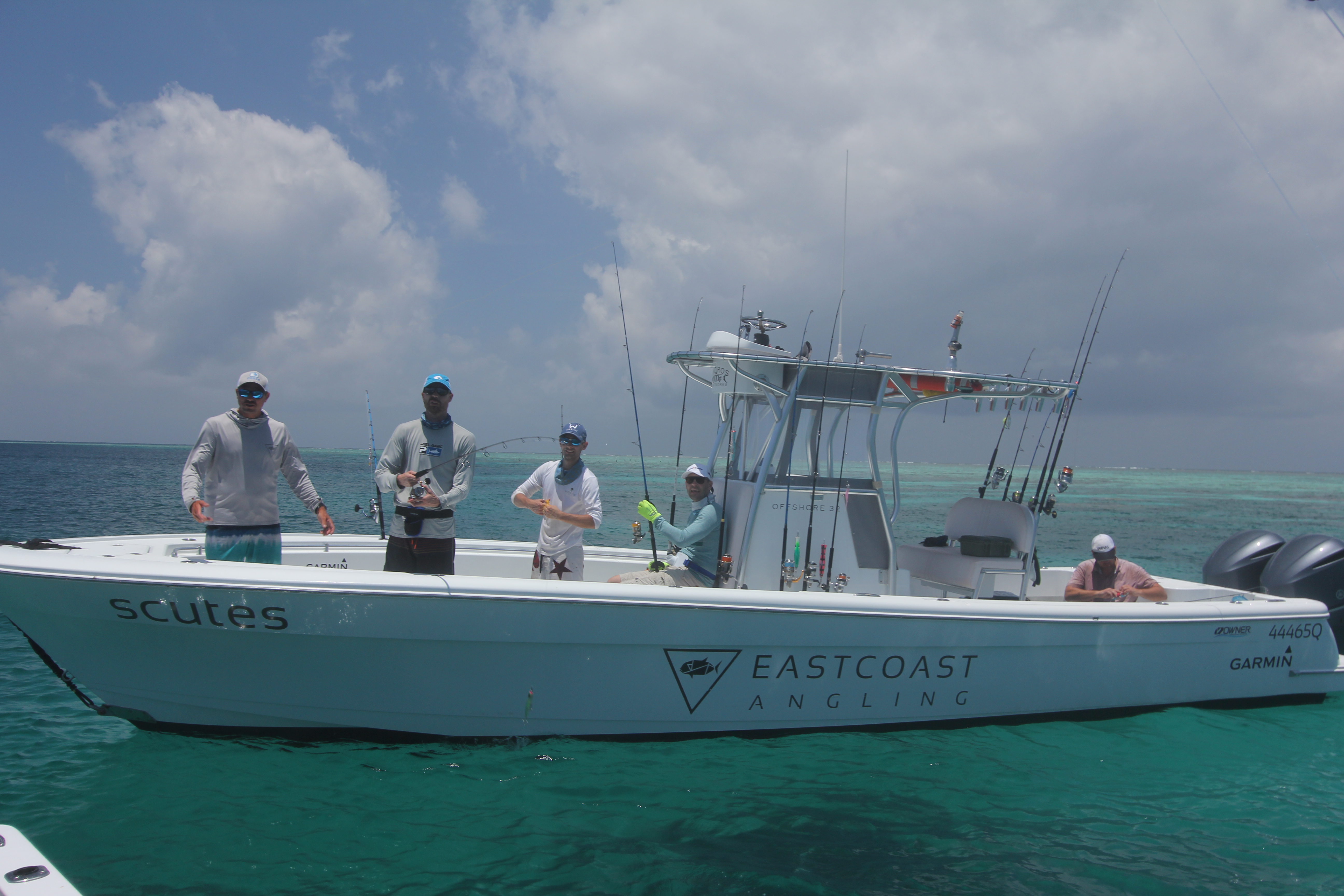 Port Douglas Offshore - Half Day