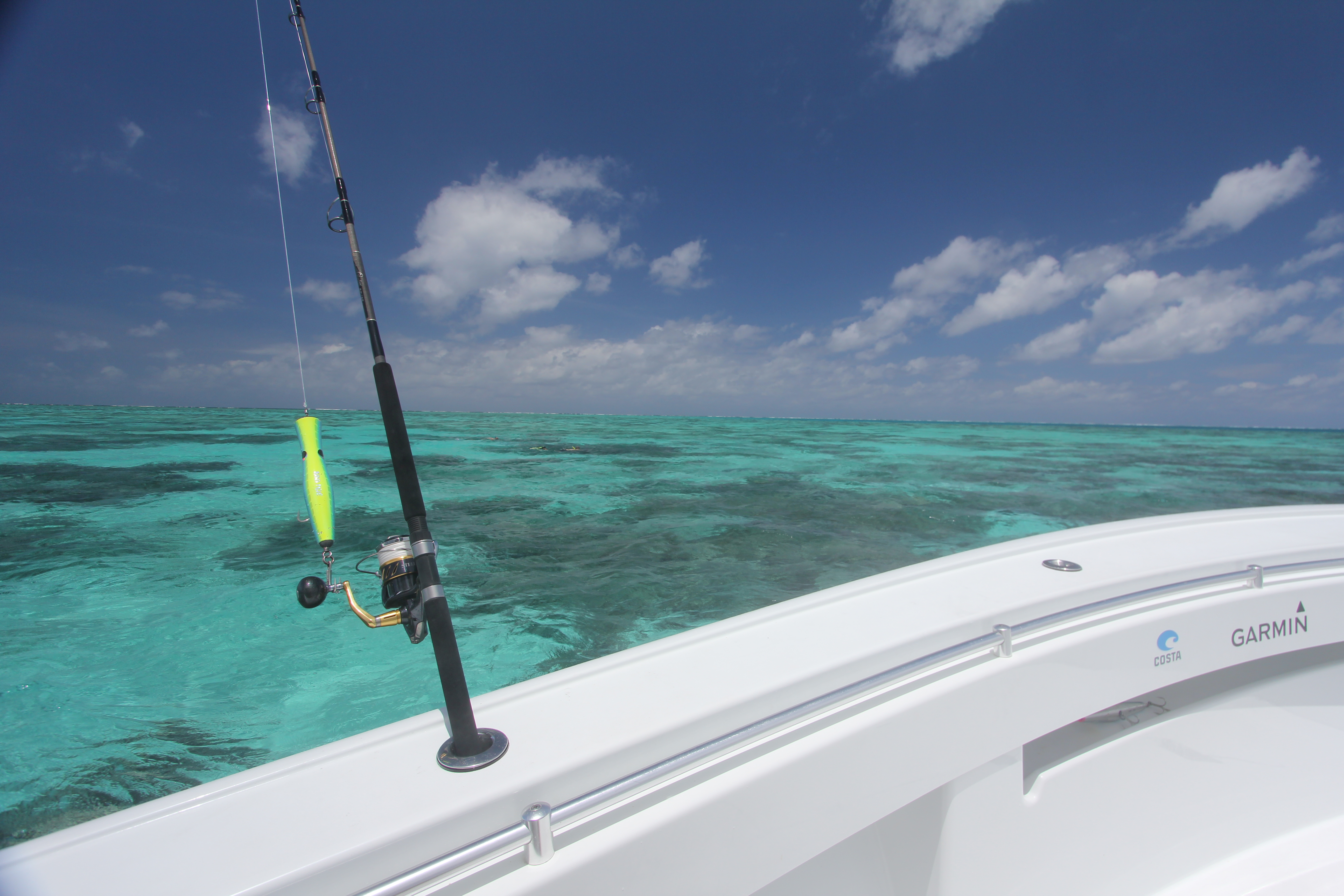 Port Douglas Offshore - Half Day