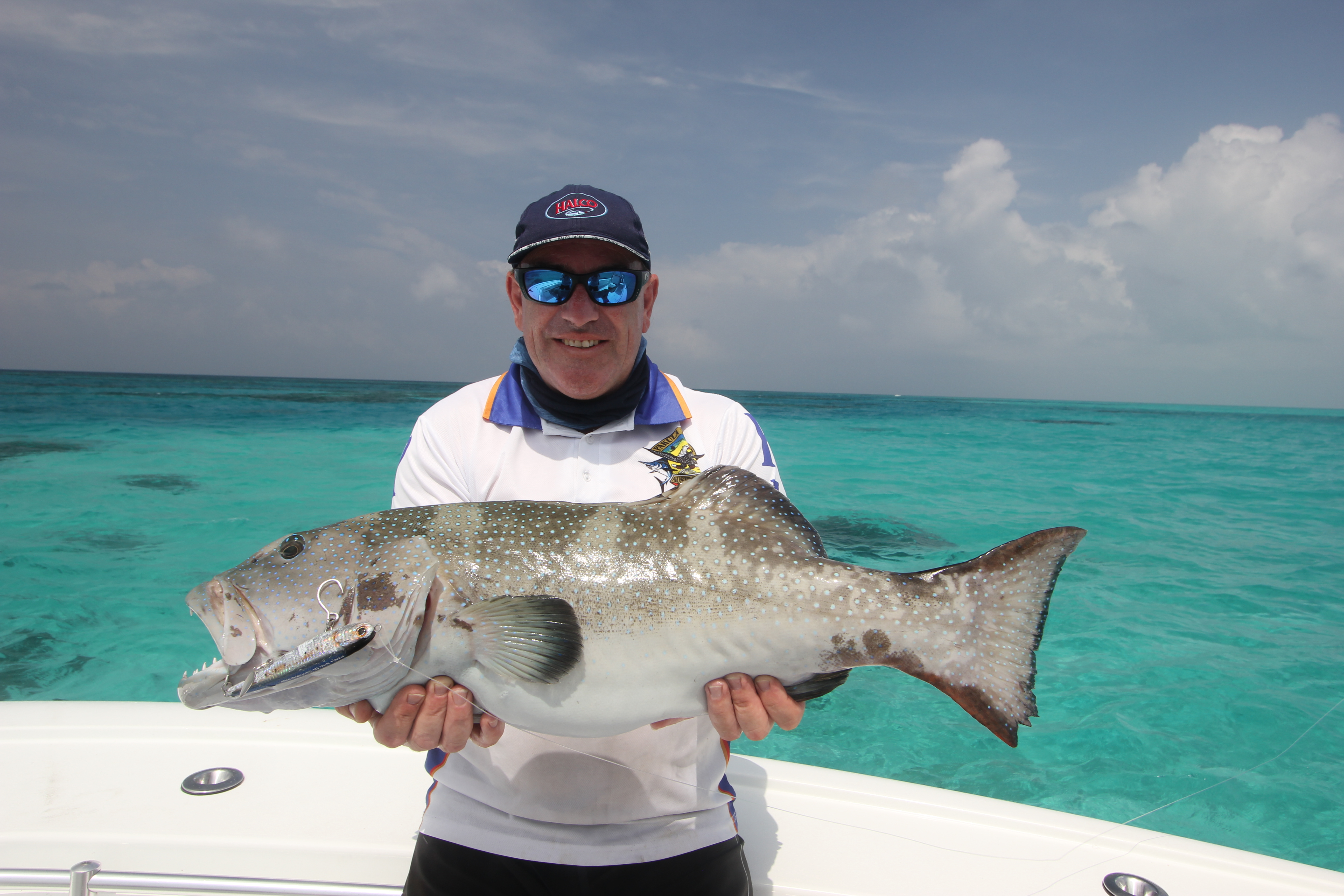 Port Douglas Offshore - Half Day
