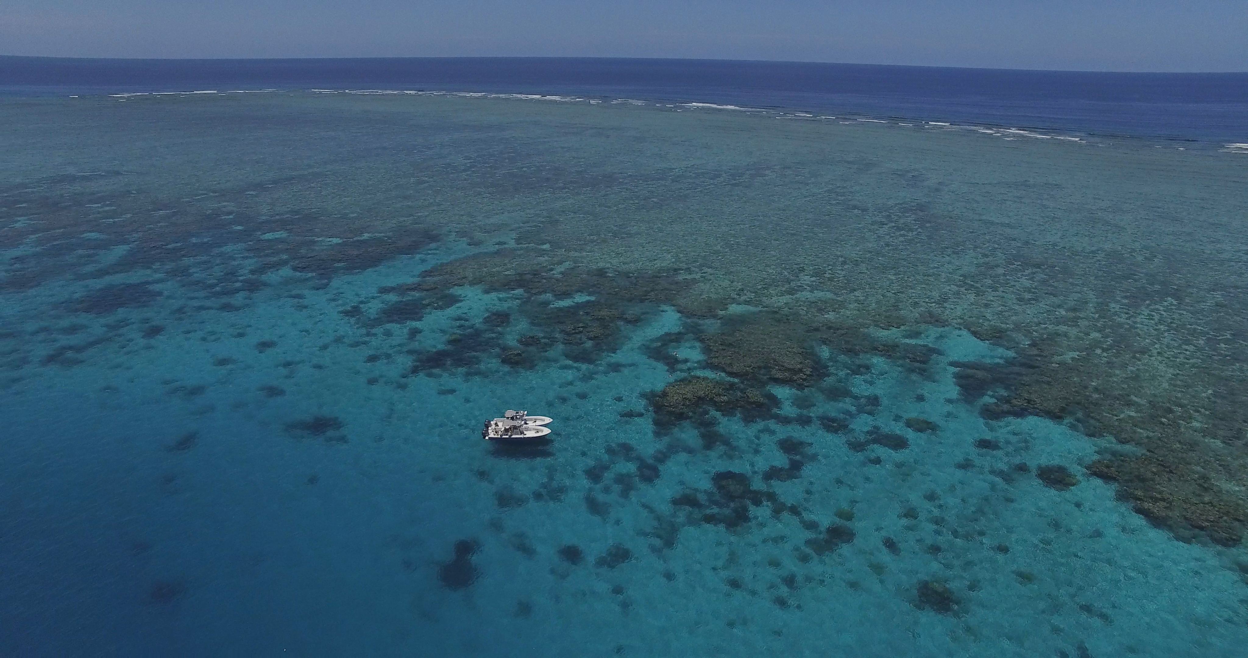 Port Douglas Offshore - Half Day
