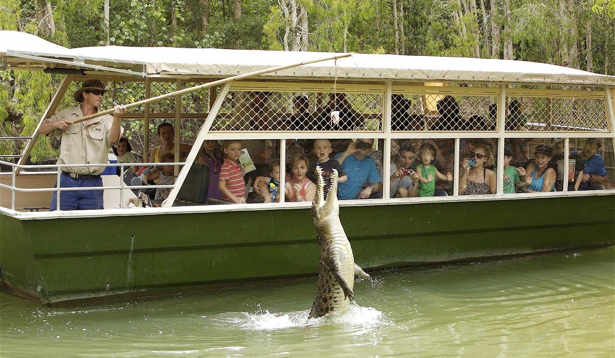 Hartley's Crocodile Adventures (ex Cairns) Transfers Only