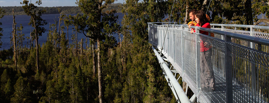 Locals Annual Pass Westcoast Treetop Walk & Cafe