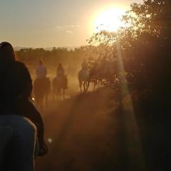 1.5 Hour Sunset Trail Ride