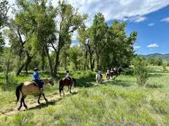  2 Hour Cowboy Trail Ride