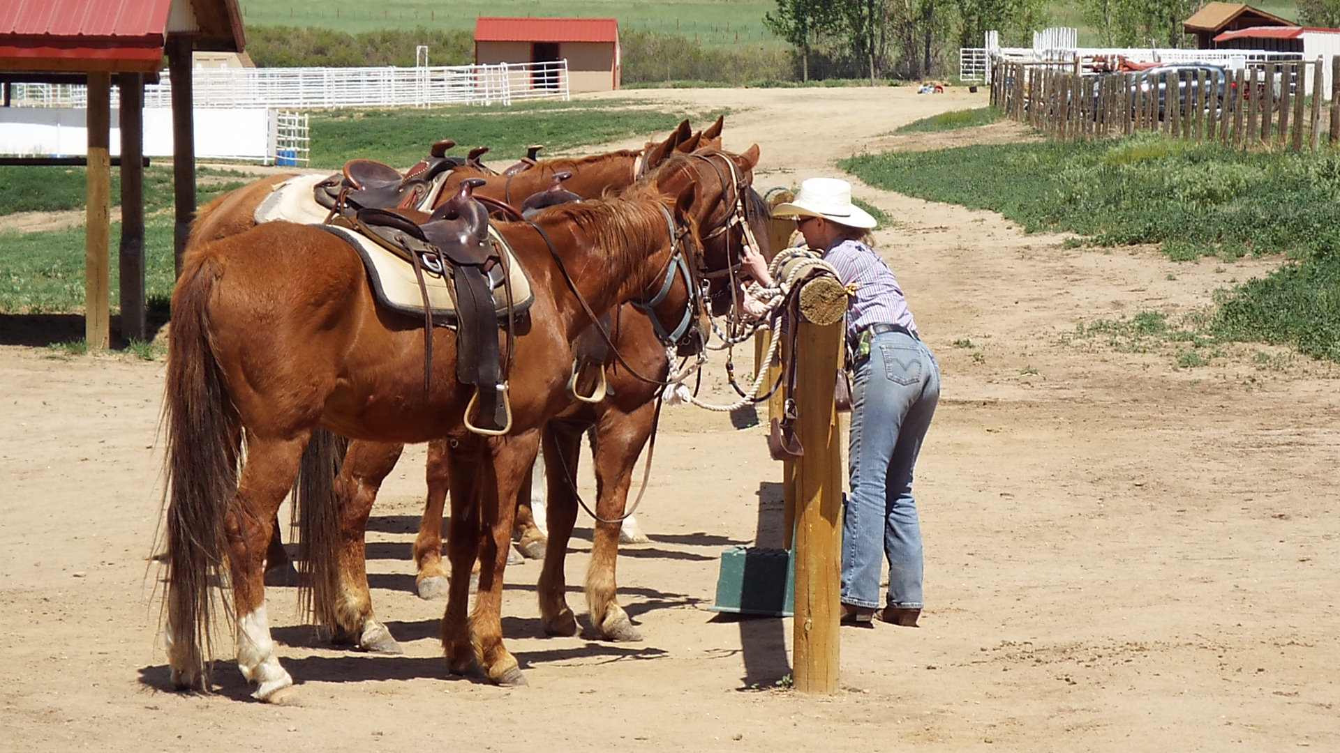 2 Hour Cowboy Trail Ride - 12 Mile Stables Reservations