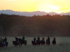 2 Hour Sunset Dinner Ride