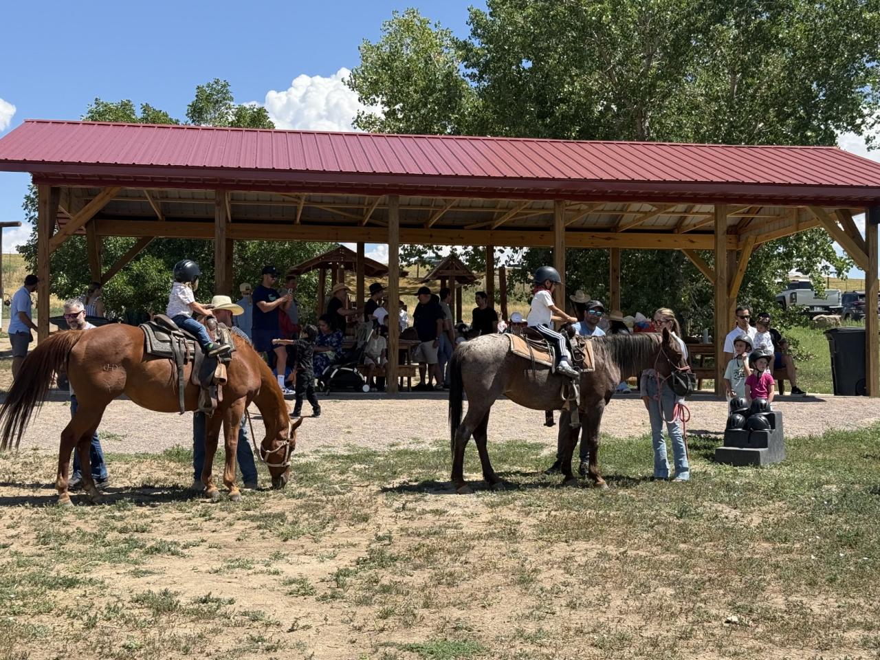 Pony Birthday Party