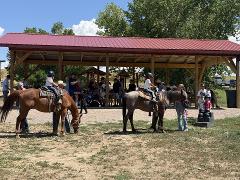 Pony Birthday Party