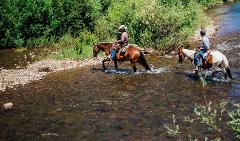 1.5 Hour Stream Crossing Trail Ride