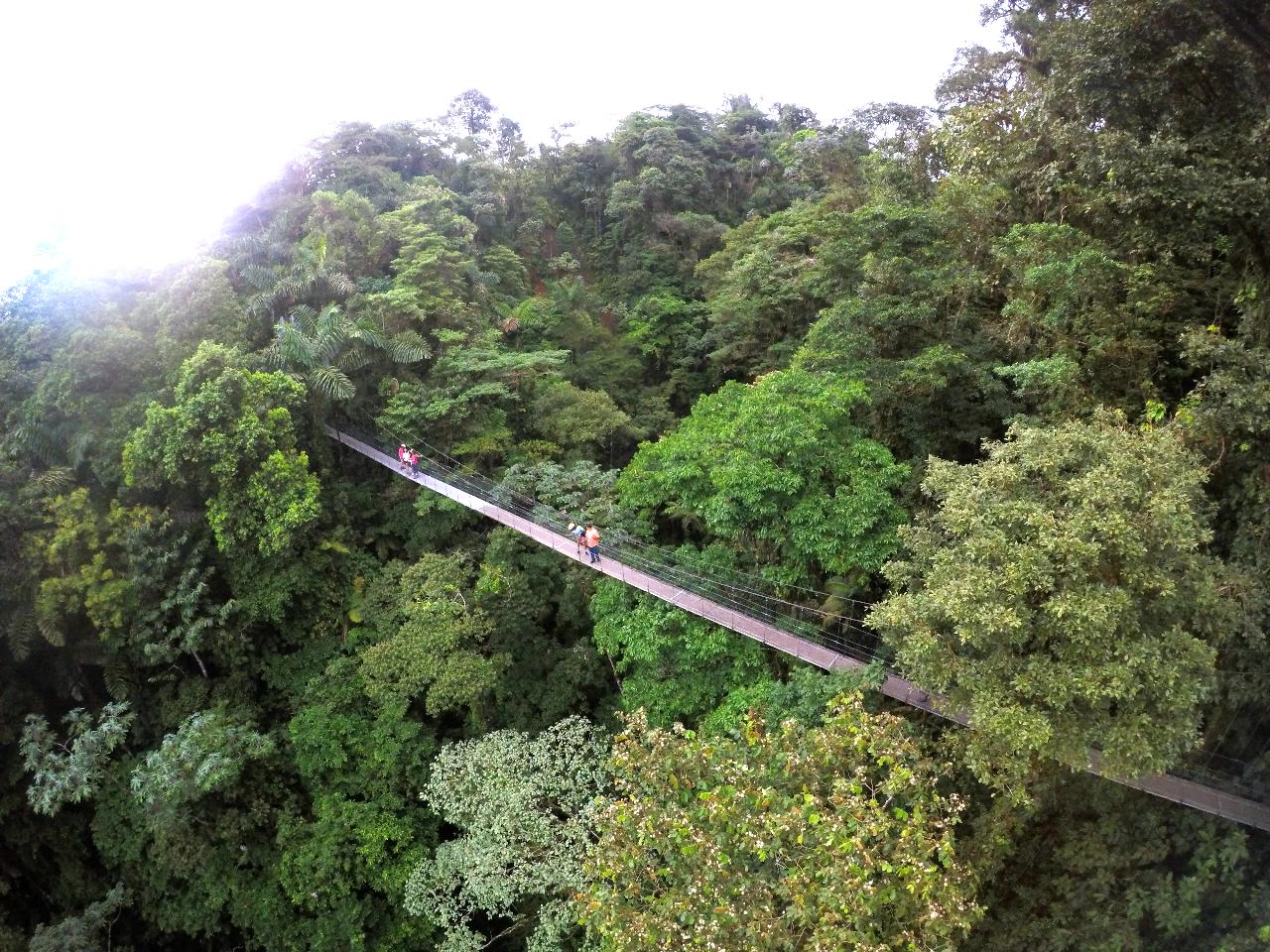Hanging Bridges and Pure Trek Canyoning
