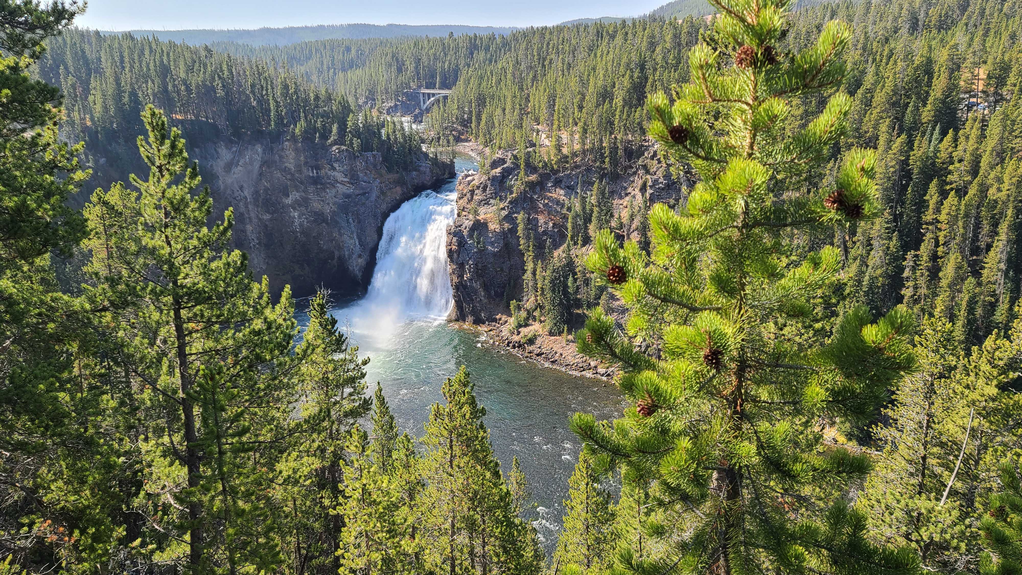 5-Day Yellowstone and Grand Teton National Parks Summer Lodging Tour from Bozeman [Max 13 Small Group]