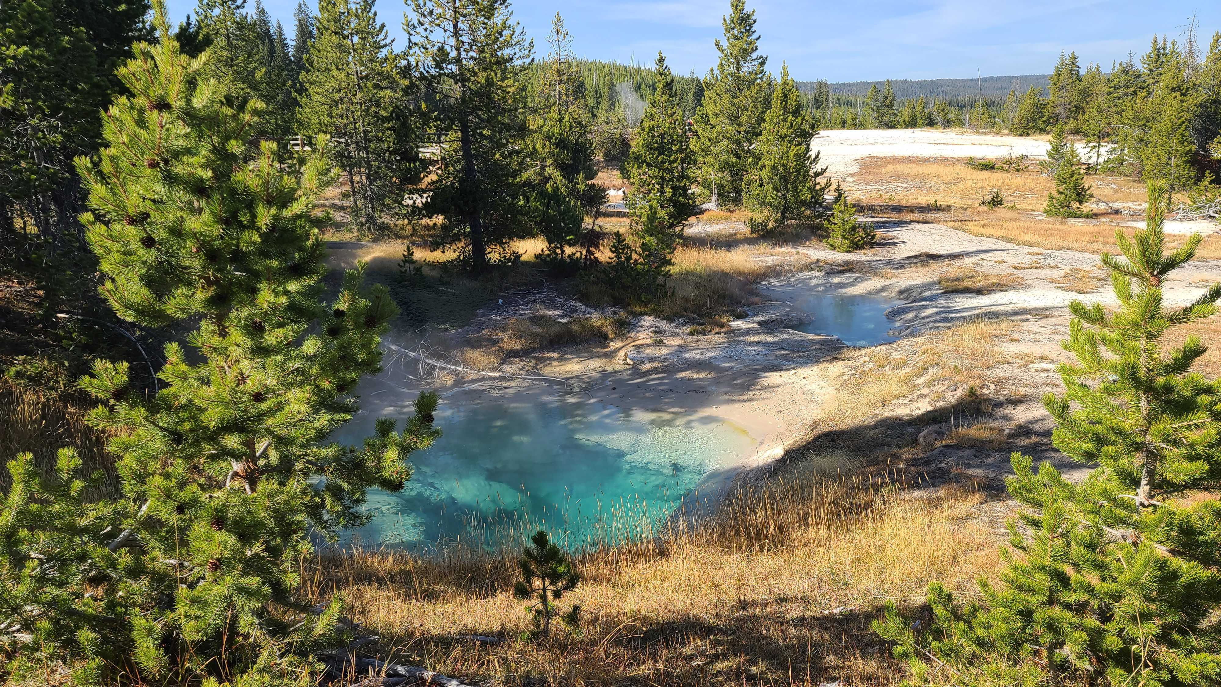 5-Day Yellowstone and Grand Teton National Parks Summer Lodging Tour from Bozeman [Max 13 Small Group]