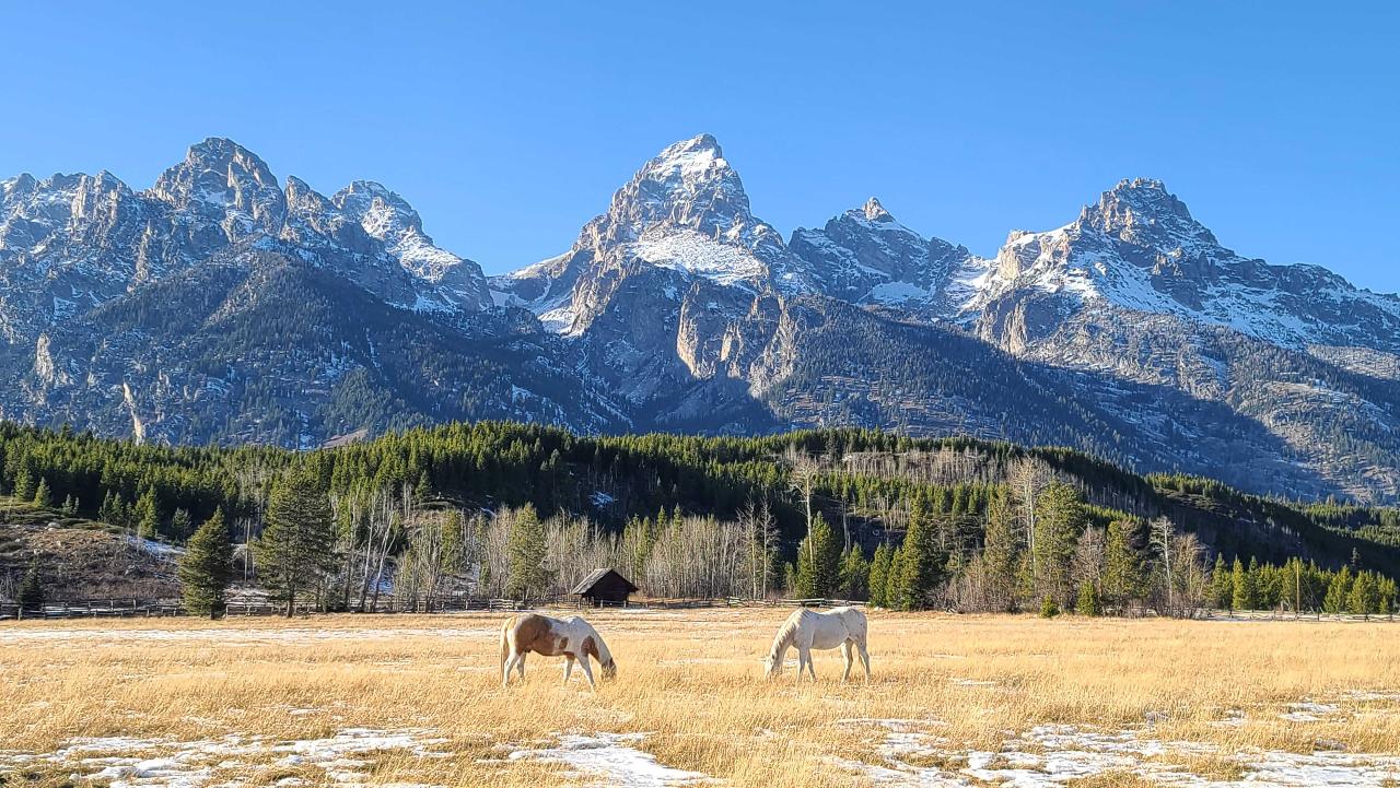 5 Day- Yellowstone and Grand Teton National Park in Depth- Hotel Based